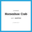 แมงดาทะเล ภาษาอังกฤษ?, คำศัพท์ภาษาอังกฤษ แมงดาทะเล แปลว่า horseshoe crab ประเภท N หมวด N