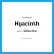 hyacinth แปลว่า?, คำศัพท์ภาษาอังกฤษ hyacinth แปลว่า พืชไม้ดอกสีม่วง ประเภท N หมวด N