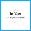 in vivo แปลว่า?, คำศัพท์ภาษาอังกฤษ in vivo แปลว่า ซึ่งอยู่ในร่างกายของสิ่งมีชีวิต ประเภท ADJ หมวด ADJ