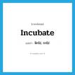 incubate แปลว่า?, คำศัพท์ภาษาอังกฤษ incubate แปลว่า ฟักไข่, กกไข่ ประเภท VT หมวด VT