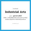 industrial arts แปลว่า?, คำศัพท์ภาษาอังกฤษ industrial arts แปลว่า อุตสาหกรรมศิลป์ ประเภท N เพิ่มเติม วิชาที่มุ่งให้ผู้เรียนเกิดความชำนาญในการประดิษฐ ์และเกิดความคุ้นเคยกับการใช้เครื่องมือและเครื่องกล หมวด N