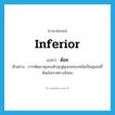 inferior แปลว่า?, คำศัพท์ภาษาอังกฤษ inferior แปลว่า ด้อย ประเภท V ตัวอย่าง การพัฒนาชุมชนมักมุ่งสู่ชุมชนชนบทอันเป็นชุมชนที่ด้อยโอกาสทางสังคม หมวด V