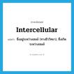 intercellular แปลว่า?, คำศัพท์ภาษาอังกฤษ intercellular แปลว่า ซึ่งอยู่ระหว่างเซลล์ (ทางชีววิทยา), ซึ่งเกิดระหว่างเซลล์ ประเภท ADJ หมวด ADJ