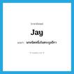 jay แปลว่า?, คำศัพท์ภาษาอังกฤษ jay แปลว่า นกชนิดหนึ่งในตระกูลอีกา ประเภท N หมวด N