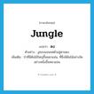 jungle แปลว่า?, คำศัพท์ภาษาอังกฤษ jungle แปลว่า ดง ประเภท N ตัวอย่าง งูชอบนอนขดตัวอยู่ตามดง เพิ่มเติม ป่าที่มีต้นไม้ใหญ่ขึ้นหนาแน่น, ที่ซึ่งมีต้นไม้อย่างใดอย่างหนึ่งขึ้นหนาแน่น หมวด N