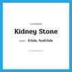 kidney stone แปลว่า?, คำศัพท์ภาษาอังกฤษ kidney stone แปลว่า นิ่วในไต, ก้อนนิ่วในไต ประเภท N หมวด N