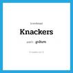 ลูกอัณฑะ ภาษาอังกฤษ?, คำศัพท์ภาษาอังกฤษ ลูกอัณฑะ แปลว่า knackers ประเภท SL หมวด SL