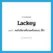 lackey แปลว่า?, คำศัพท์ภาษาอังกฤษ lackey แปลว่า คนรับใช้ชายที่สวมเครื่องแบบ, ขี้ข้า ประเภท N หมวด N