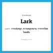 lark แปลว่า?, คำศัพท์ภาษาอังกฤษ lark แปลว่า การเล่นสนุก, ความสนุกสนาน, การกระโดดโลดเต้น ประเภท N หมวด N