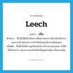 leech แปลว่า?, คำศัพท์ภาษาอังกฤษ leech แปลว่า ปลิง ประเภท N ตัวอย่าง วิธีปฏิบัติเมื่อปลิงเกาะคืออย่าพยายามดึงปลิงหรือทากออกจากผิวหนังเพราะจะทำให้เกิดแผลฉีกขาดเลือดออก เพิ่มเติม ชื่อสัตว์ไม่มีกระดูกสันหลังในวงศ์ Hirudinidae ตัวยืดได้คล้ายทาก ชอบเกาะคนหรือสัตว์เพื่อดูดกินเลือด มีหลายชนิด หมวด N