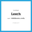 leech แปลว่า?, คำศัพท์ภาษาอังกฤษ leech แปลว่า ทำตัวเป็นกาฝาก, เกาะกิน ประเภท VI หมวด VI