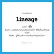 เชื้อ ภาษาอังกฤษ?, คำศัพท์ภาษาอังกฤษ เชื้อ แปลว่า lineage ประเภท N ตัวอย่าง เธอยืนยันว่าตัวเองเป็นคนไทยทั้งๆ ที่ก็มีเชื้ออเมริกันอยู่ครึ่งตัว เพิ่มเติม ผู้ที่สืบวงศ์วานว่านเครือเผ่าพันธุ์ต่อๆ กันมา หมวด N