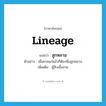 lineage แปลว่า?, คำศัพท์ภาษาอังกฤษ lineage แปลว่า ลูกหลาน ประเภท N ตัวอย่าง เมื่อยายแก่แล้วก็ต้องพึ่งลูกหลาน เพิ่มเติม ผู้สืบเชื้อสาย หมวด N