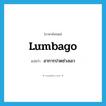 lumbago แปลว่า?, คำศัพท์ภาษาอังกฤษ lumbago แปลว่า อาการปวดช่วงเอว ประเภท N หมวด N