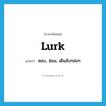 lurk แปลว่า?, คำศัพท์ภาษาอังกฤษ lurk แปลว่า หลบ, ซ่อน, เดินลับๆล่อๆ ประเภท VI หมวด VI