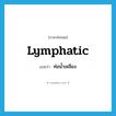 lymphatic แปลว่า?, คำศัพท์ภาษาอังกฤษ lymphatic แปลว่า ท่อน้ำเหลือง ประเภท N หมวด N