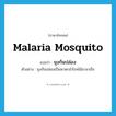 malaria mosquito แปลว่า?, คำศัพท์ภาษาอังกฤษ malaria mosquito แปลว่า ยุงก้นปล่อง ประเภท N ตัวอย่าง ยุงก้นปล่องเป็นพาหะนำโรคไข้มาลาเรีย หมวด N