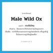 male wild ox แปลว่า?, คำศัพท์ภาษาอังกฤษ male wild ox แปลว่า กระทิงโทน ประเภท N ตัวอย่าง มีคนพบกระทิงโทนในป่าทุ่งใหญ่นเรศวร เพิ่มเติม กระทิงที่ชอบแยกออกจากฝูงโดยสมัครใจ หรือถูกตัวผู้อื่นไล่ออกจากฝูงให้อยู่โดดเดี่ยว หมวด N