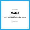 males แปลว่า?, คำศัพท์ภาษาอังกฤษ males แปลว่า เพศผู้, ต้นไม้ที่มีแต่เกสรตัวผู้, เพศชาย ประเภท N หมวด N