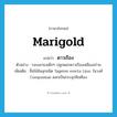 marigold แปลว่า?, คำศัพท์ภาษาอังกฤษ marigold แปลว่า ดาวเรือง ประเภท N ตัวอย่าง รอบเสาธงเด็กๆ ปลูกดอกดาวเรืองเหลืองอร่าม เพิ่มเติม ชื่อไม้ล้มลุกชนิด Tagetes erecta Linn. ในวงศ์ Compositae ดอกเป็นกระจุกสีเหลือง หมวด N