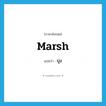 marsh แปลว่า?, คำศัพท์ภาษาอังกฤษ marsh แปลว่า บุ่ง ประเภท N หมวด N