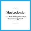 mastodonic แปลว่า?, คำศัพท์ภาษาอังกฤษ mastodonic แปลว่า เกี่ยวกับสัตว์เลี้ยงลูกด้วยนมตระกูล Mastodontidae สูญพันธุ์แล้ว ประเภท ADJ หมวด ADJ