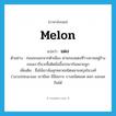 melon แปลว่า?, คำศัพท์ภาษาอังกฤษ melon แปลว่า แตง ประเภท N ตัวอย่าง ก่อนจะออกจากตัวเมือง ผ่านกองแตงที่วางขายอยู่ข้างถนนเราก็แวะซื้อติดมือขึ้นรถมากันหลายลูก เพิ่มเติม ชื่อไม้เถาล้มลุกหลายชนิดหลายสกุลในวงศ์ Cucurbitaceae เถามีผล มีมือเกาะ บางชนิดยอด ดอก และผลกินได้ หมวด N