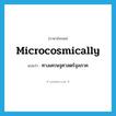 microcosmically แปลว่า?, คำศัพท์ภาษาอังกฤษ microcosmically แปลว่า ทางเศรษฐศาสตร์จุลภาค ประเภท ADV หมวด ADV