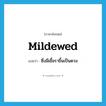 mildewed แปลว่า?, คำศัพท์ภาษาอังกฤษ mildewed แปลว่า ซึ่งมีเชื้อราขึ้นเป็นดวง ประเภท ADJ หมวด ADJ