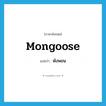 mongoose แปลว่า?, คำศัพท์ภาษาอังกฤษ mongoose แปลว่า พังพอน ประเภท N หมวด N