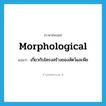 morphological แปลว่า?, คำศัพท์ภาษาอังกฤษ morphological แปลว่า เกี่ยวกับโครงสร้างของสัตว์และพืช ประเภท ADJ หมวด ADJ