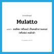 mulatto แปลว่า?, คำศัพท์ภาษาอังกฤษ mulatto แปลว่า คนมีพ่อ (หรือแม่) เป็นคนผิวขาวและแม่ (หรือพ่อ) คนผิวดำ ประเภท N หมวด N