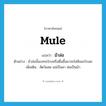 mule แปลว่า?, คำศัพท์ภาษาอังกฤษ mule แปลว่า ม้าล่อ ประเภท N ตัวอย่าง ม้าล่อนั้นบทจะโกงหรือดิ้นขึ้นมาจะไม่ฟังอะไรเลย เพิ่มเติม สัตว์ผสม แม่เป็นลา พ่อเป็นม้า หมวด N