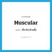 เกี่ยวกับกล้ามเนื้อ ภาษาอังกฤษ?, คำศัพท์ภาษาอังกฤษ เกี่ยวกับกล้ามเนื้อ แปลว่า muscular ประเภท ADJ หมวด ADJ