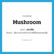 mushroom แปลว่า?, คำศัพท์ภาษาอังกฤษ mushroom แปลว่า ดอกเห็ด ประเภท N ตัวอย่าง เห็ดบางประเภทรับประทานได้ทั้งโคนและดอกเห็ด หมวด N