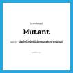 mutant แปลว่า?, คำศัพท์ภาษาอังกฤษ mutant แปลว่า สัตว์หรือพืชที่มีลักษณะต่างจากพ่อแม่ ประเภท N หมวด N