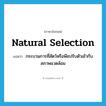 natural selection แปลว่า?, คำศัพท์ภาษาอังกฤษ natural selection แปลว่า กระบวนการที่สัตว์หรือพืชปรับตัวเข้ากับสภาพแวดล้อม ประเภท N หมวด N