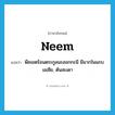 neem แปลว่า?, คำศัพท์ภาษาอังกฤษ neem แปลว่า พืชเขตร้อนตระกูลมะฮอกกะนี มีมากในแถบเอเชีย, ต้นสะเดา ประเภท N หมวด N