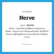 ประสาท ภาษาอังกฤษ?, คำศัพท์ภาษาอังกฤษ ประสาท แปลว่า nerve ประเภท N ตัวอย่าง กัญชาเป็นยาเสพย์ติดแบบกระตุ้นประสาท เพิ่มเติม ส่วนของร่างกาย มีลักษณะคล้ายเส้นใย มีหน้าที่นำคำสั่งและความรู้สึกไปสู่หรือออกจากสมองหรืออวัยวะส่วนอื่นของร่างกาย หมวด N