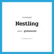 nestling แปลว่า?, คำศัพท์ภาษาอังกฤษ nestling แปลว่า ลูกอ่อนของนก ประเภท N หมวด N