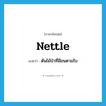 nettle แปลว่า?, คำศัพท์ภาษาอังกฤษ nettle แปลว่า ต้นไม้ป่าที่มีขนตามใบ ประเภท N หมวด N