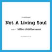 not a living soul แปลว่า?, คำศัพท์ภาษาอังกฤษ not a living soul แปลว่า ไม่มีใคร (คำไม่เป็นทางการ) ประเภท IDM หมวด IDM