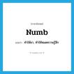 numb แปลว่า?, คำศัพท์ภาษาอังกฤษ numb แปลว่า ทำให้ชา, ทำให้หมดความรู้สึก ประเภท VT หมวด VT