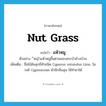 nut grass แปลว่า?, คำศัพท์ภาษาอังกฤษ nut grass แปลว่า แห้วหมู ประเภท N ตัวอย่าง ีหญ้าแห้วหมูขึ้นตามขอบสระบัวข้างบ้าน เพิ่มเติม ชื่อไม้ล้มลุกมีหัวชนิด Cyperus rotundus Linn. ในวงศ์ Cyperaceae หัวมีกลิ่นฉุน ใช้ทำยาได้ หมวด N