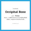 occipital bone แปลว่า?, คำศัพท์ภาษาอังกฤษ occipital bone แปลว่า ท้ายทอย ประเภท N ตัวอย่าง การตีที่ท้ายทอยอย่างแรงอาจทำให้ถึงแก่ชีวิตได้ เพิ่มเติม ส่วนสุดของกระโหลกศีรษะข้างหลัง หมวด N