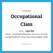 occupational class แปลว่า?, คำศัพท์ภาษาอังกฤษ occupational class แปลว่า กลุ่มอาชีพ ประเภท N ตัวอย่าง สังคมใหญ่ก็จะมีสังคมย่อยๆ อีกมากมาย เช่น สังคมของกลุ่มอาชีพเดียวกัน สังคมชาวพุทธ สังคมของผู้หญิง เป็นต้น หมวด N