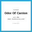 สาง ภาษาอังกฤษ?, คำศัพท์ภาษาอังกฤษ สาง แปลว่า odor of carrion ประเภท N เพิ่มเติม กลิ่นเหม็นของซากศพ ซากสัตว์ หมวด N