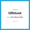 offshoot แปลว่า?, คำศัพท์ภาษาอังกฤษ offshoot แปลว่า กิ่งก้าน (ที่แยกจากลำต้น) ประเภท N หมวด N