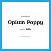 opium poppy แปลว่า?, คำศัพท์ภาษาอังกฤษ opium poppy แปลว่า ต้นฝิ่น ประเภท N หมวด N