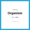 organism แปลว่า?, คำศัพท์ภาษาอังกฤษ organism แปลว่า ระบบ ประเภท N หมวด N